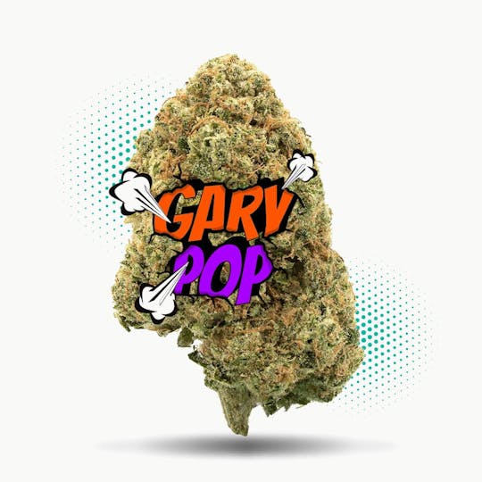 Frostiez - Gary Pop - Topshelf Indoor - New Drop - Hybrid - 1