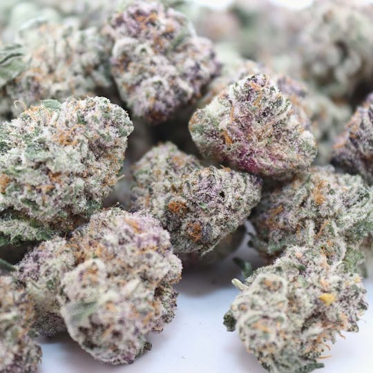 LA Native - Blueberry Cherries - Indoor Smalls - 1