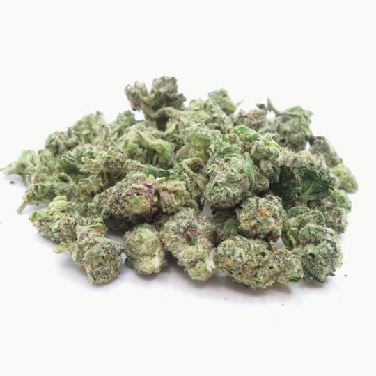 LA Native - Dutch Berry - Indoor Smalls - 1