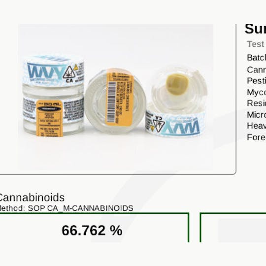 Bear Labs - Mandarin Haze - 1