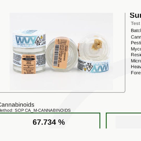 Bear Labs - Sour Peaches - 1