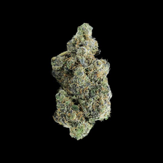 Auraz - Caleta Flower | Blue Cookies - 1