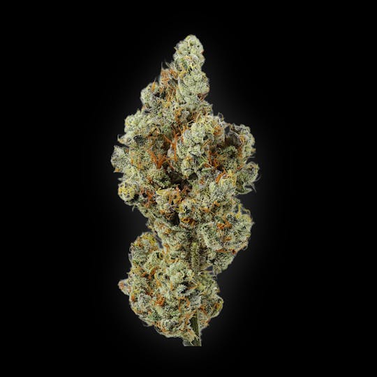 Auraz - Caleta Flower | Lemon Cherry Sherb - 1