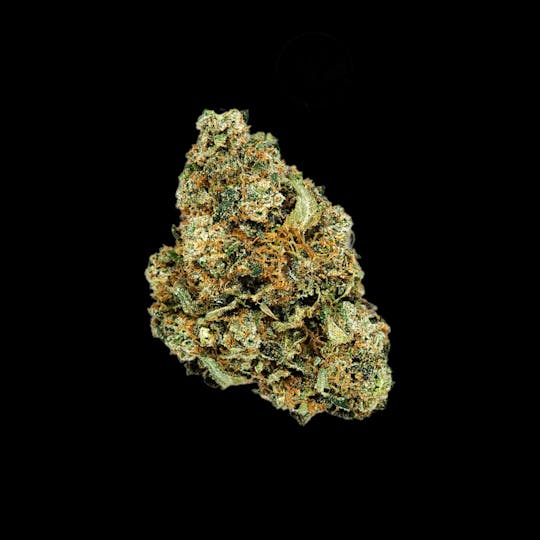 Auraz - Caleta Flower | Strawberry - 1