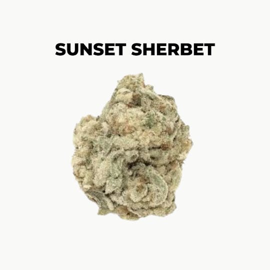 northeast alternatives - NEA Fire | Sunset Sherbet | Flower | 7G - 1