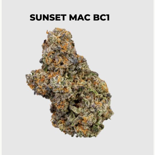 northeast alternatives - NEA Fire | Sunset MAC BC1 | Flower | 7G - 1