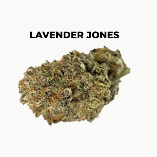 northeast alternatives - NEA Fire | Lavender Jones | Flower | 7G - 1