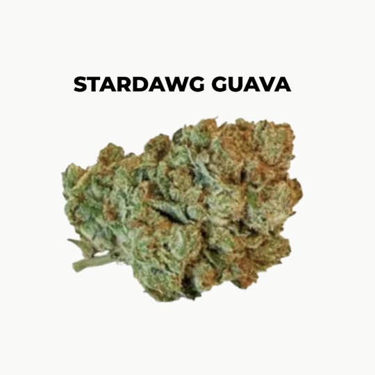 northeast alternatives - NEA Fire | Stardawg Guava | Flower | 7G - 1