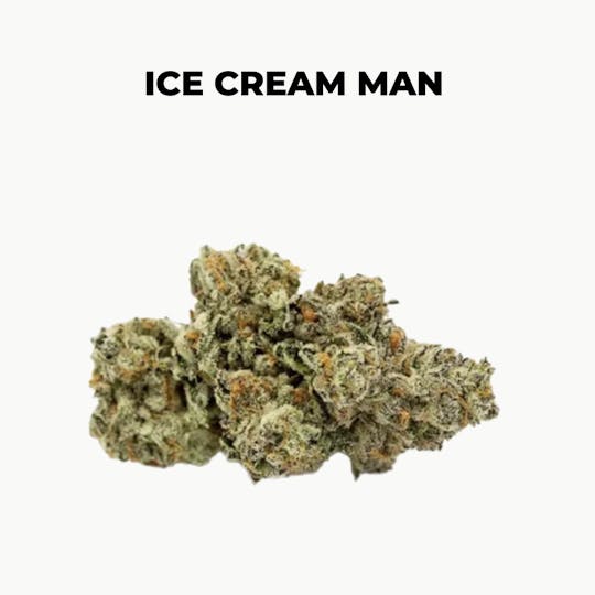 northeast alternatives - NEA Fire | Ice Cream Man | Flower | 28G - 1