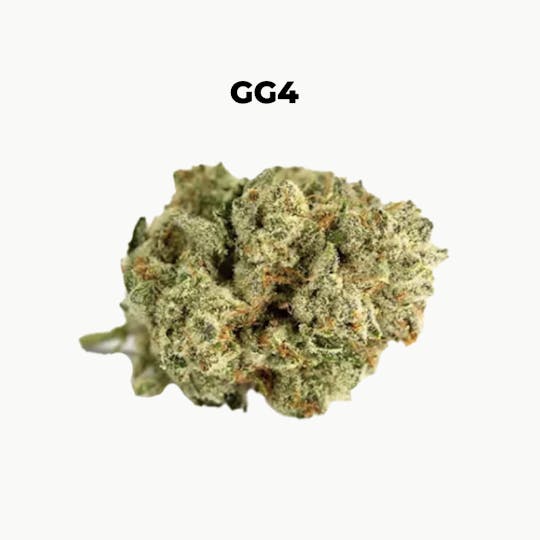 northeast alternatives - NEA Fire | GG4 | Flower | 3.5G - 1