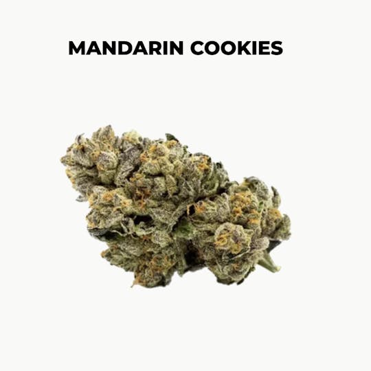 northeast alternatives - NEA Fire | Mandarin Cookies | Flower | 7G - 1