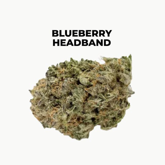 northeast alternatives - NEA Fire | Blueberry Headband | Flower | 3.5G - 1