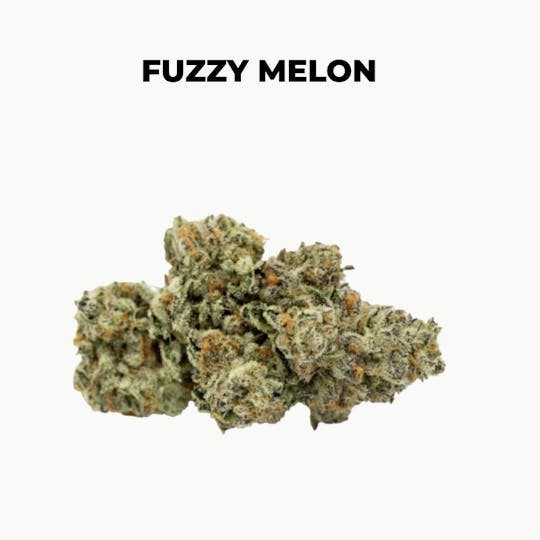 northeast alternatives - NEA Fire | Fuzzy Melon | Flower | 28G - 1