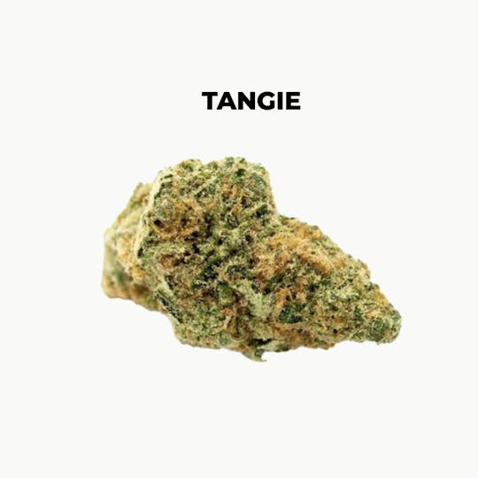 northeast alternatives - NEA Fire | Tangie | Flower | 7G - 1