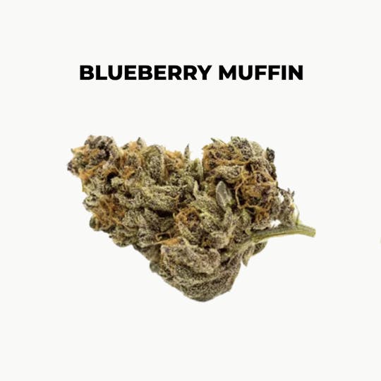 northeast alternatives - NEA Fire | Blueberry Muffin | Flower | 28G - 1