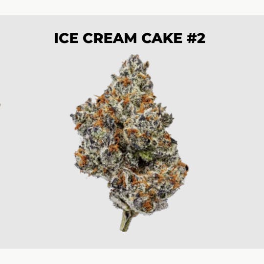 northeast alternatives - NEA Fire | Ice Cream Cake #2 | Flower | 28G - 1