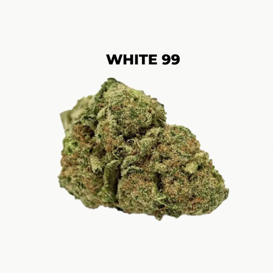 northeast alternatives - NEA Fire | White 99 | Flower | 7G - 1