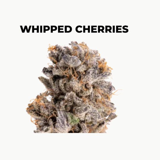 northeast alternatives - NEA Fire | Whipped Cherries | Flower | 7G - 1