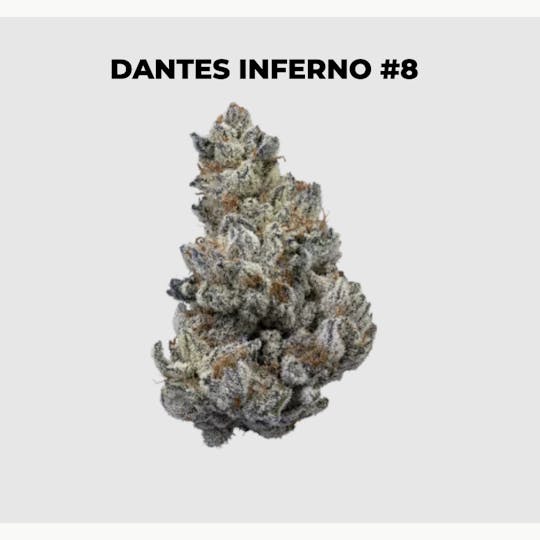northeast alternatives - NEA Fire | Dante's Inferno #8 | Flower | 28G - 1