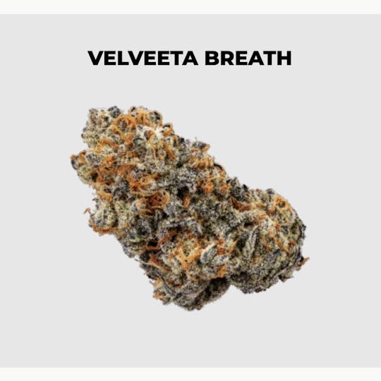 northeast alternatives - NEA Fire | Velveeta Breath | Flower | 7G - 1