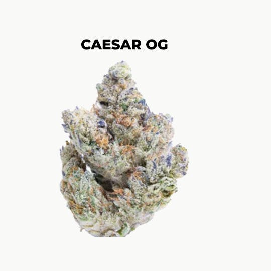 northeast alternatives - NEA Fire | Caesar OG | Flower | 28G - 1