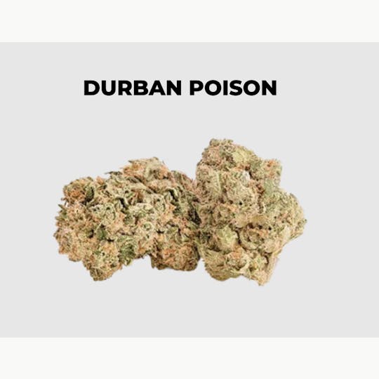 northeast alternatives - NEA Fire | Durban Poison | Flower | 28G - 1