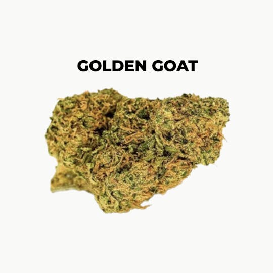 northeast alternatives - NEA Fire | Golden Goat | Flower | 28G - 1