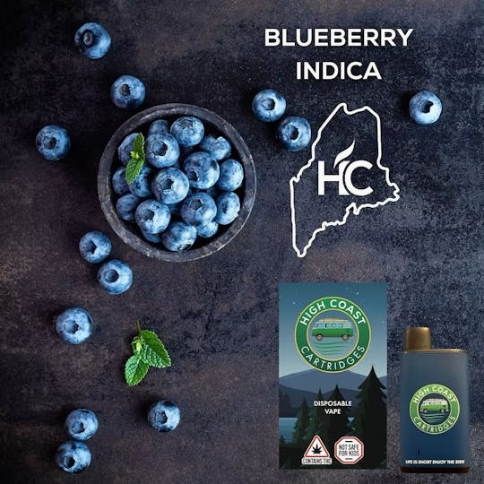 High Coast - High Coast 1G Disposable (Blueberry) - 1
