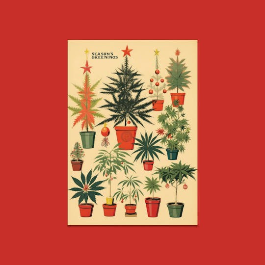 Embarc Brand - EMBARC SEASON'S GREENINGS HOLIDAY CARD - 1