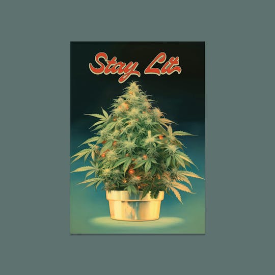 Embarc Brand - EMBARC STAY LIT HOLIDAY CARD - 1