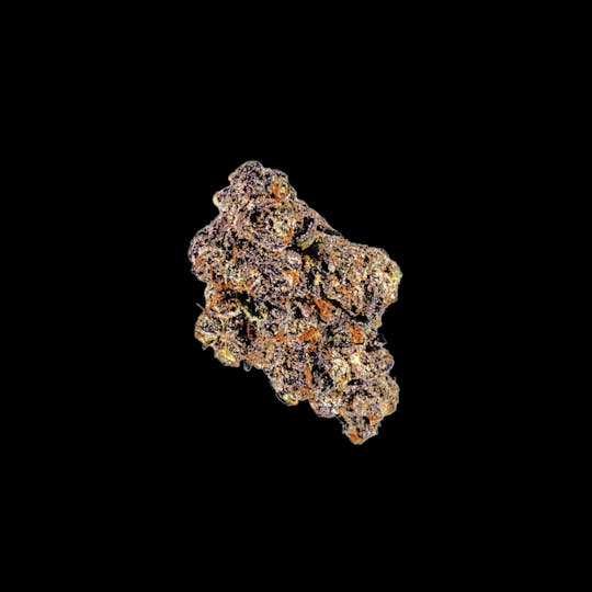 Auraz - Caleta Flower | Red Bullz - 1
