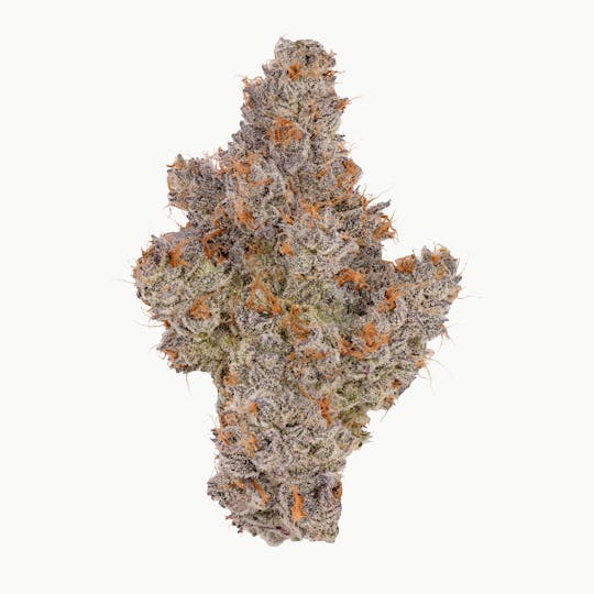 Fig Farms - Trixxx - 1
