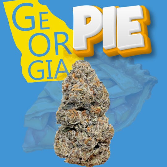 SUPPLY LA - Georgia Pie | Top Shelf | Indoor | Limited Drop | 28g | Ounce - 1