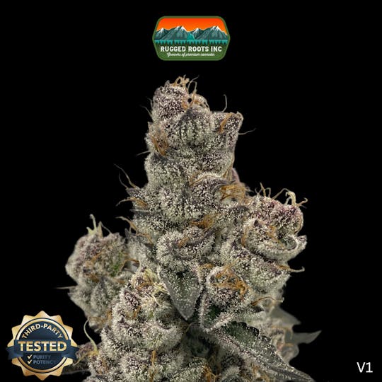 Rugged Roots - Rugged Roots | Bahama Mama 3.5g - 1
