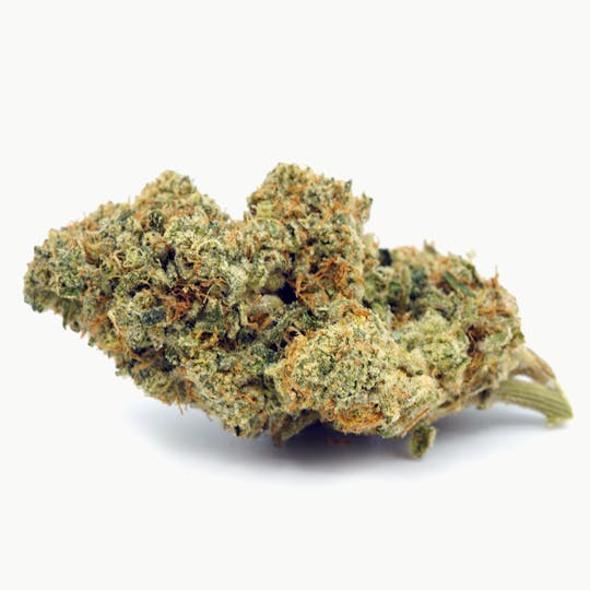 High Tide Organics - Kush Mints | Greenhouse 3.5g - 1