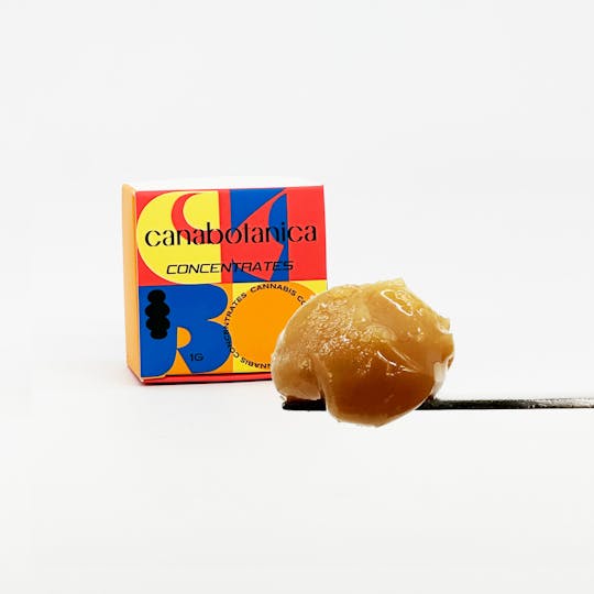 Canabotanica - Gravy - 1g - Solventless Live Rosin - 1