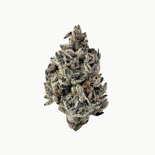 Resonant Cultivation - Tropical Infusion - 1