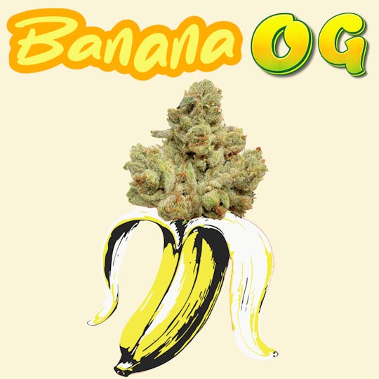 SUPPLY LA - Banana OG | Top Shelf | Limited Drop | Indoor | 14G | Half Ounce - 1
