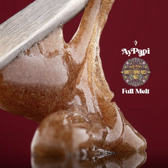AyPapi - Ay Papi | Whitethorn Rose | Full Melt | 1G - 1