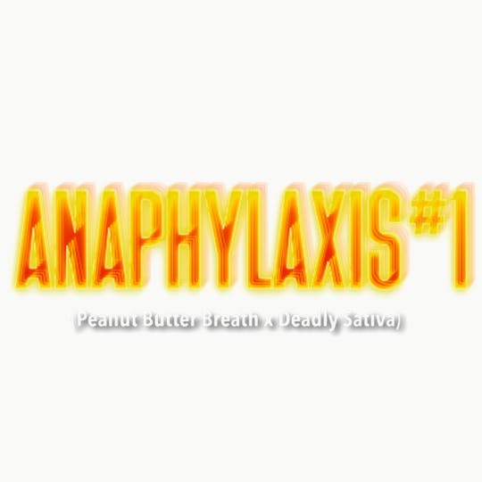 Burly Botanicals - Anaphylaxis #1 | 3.5g | Pre-Pack - 1