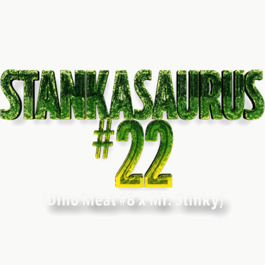 Burly Botanicals - Stankasarus #22 | 3.5g | Pre-Pack - 1