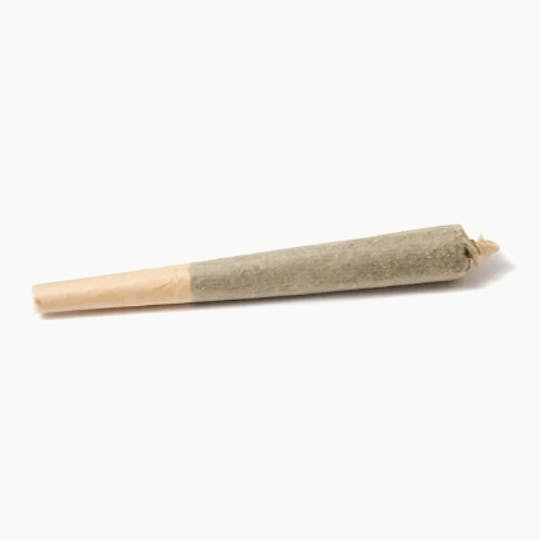 Snaxland - Snaxland | 1.25g Infused Pre Roll | Runtz - 1