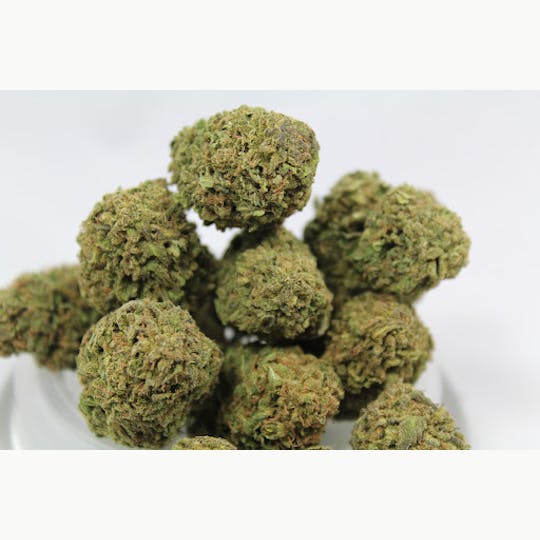 LA Native - Gelato Cake - Sungrown - 1