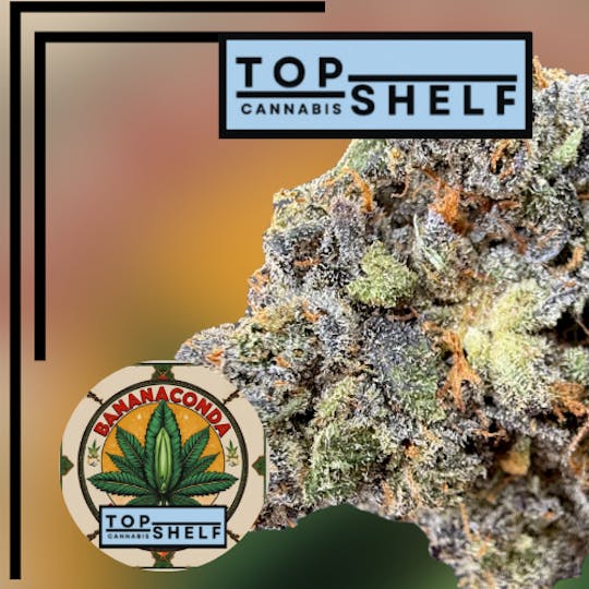 Magnum Weed - Top Shelf Bananaconda - 1