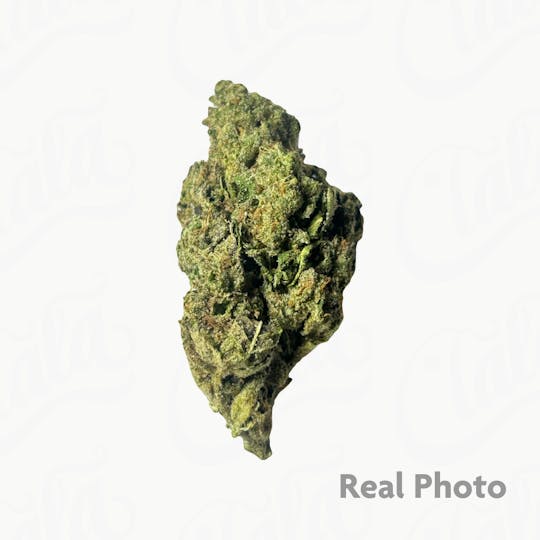 Stingers - Black Gelato - 7 gram - 1