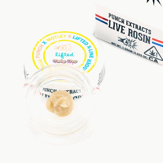 Punch Edibles & Extracts - Pineapple Guava Tier 4 Live Rosin Cold Cure Badder (1g) - 1