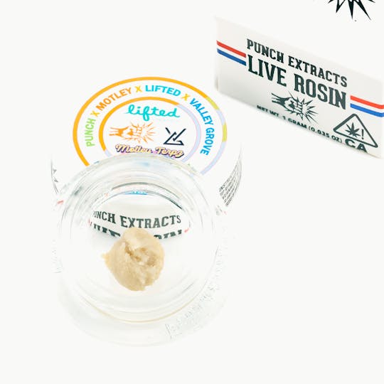 Punch Edibles & Extracts - Papaya Berry OGZ Tier 4 Live Rosin Cold Cure Badder (1g) - 1