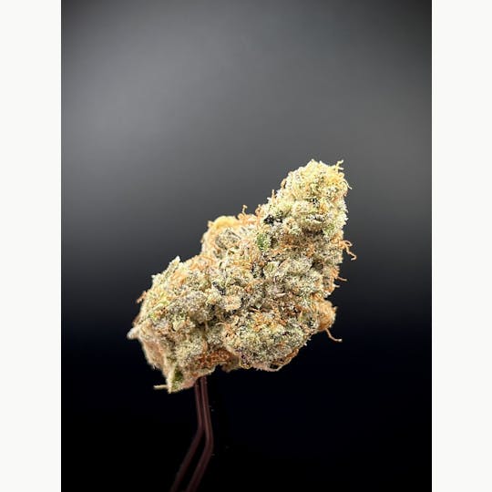 The Garden of Gele - Brokedown Palace - 1