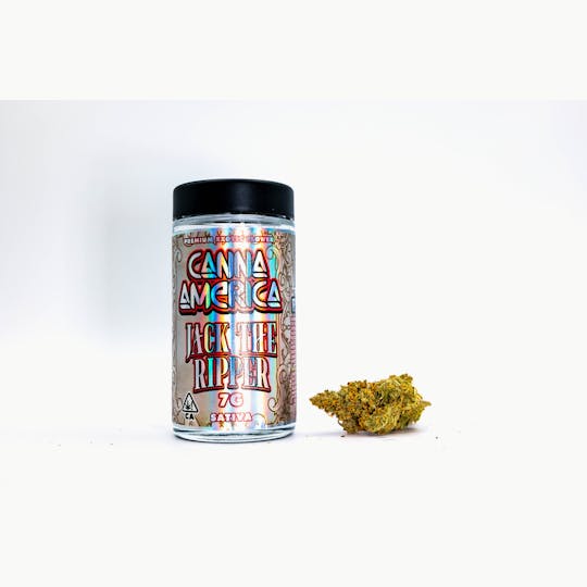 Canna America - Jack the Ripper - 7g - 1
