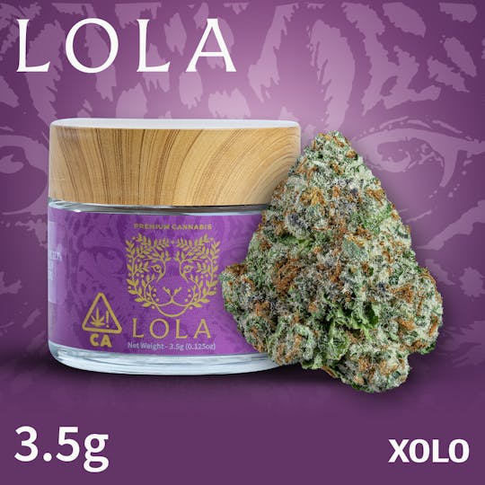 Lola - Xolo - 1